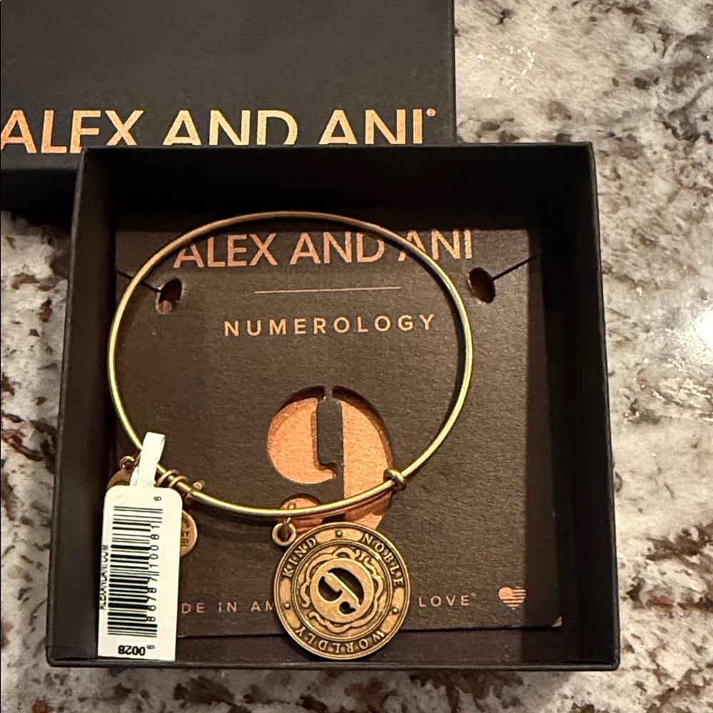 Alex and Ani Gold Numerology Charm Bracelet